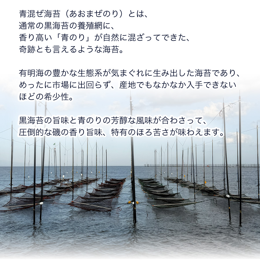 有明海の支柱網と青混ぜ海苔の特徴 - 黒海苔の旨味と青のりの芳醇な風味が合わさった希少な海苔