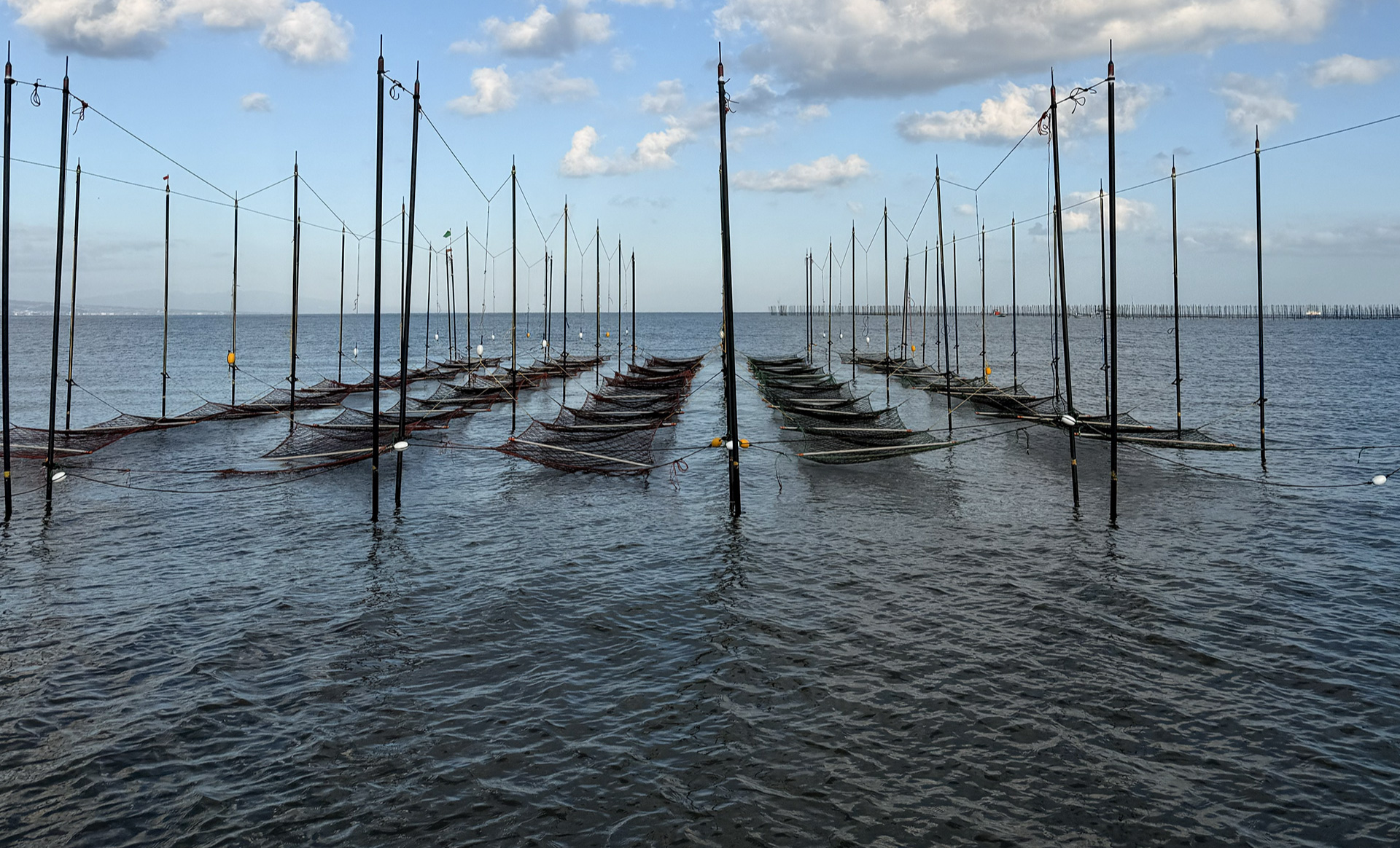 有明海 網田の干潟風景